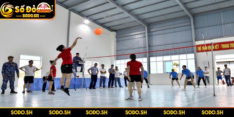 Bóng Chuyền Hơi Cho Người Lớn Tuổi - Thể Thao Lành Mạnh Giao tiếp rõ ràng giữa các thành viên trong đội