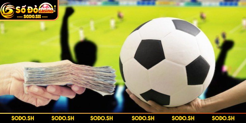 Bongdaso66 – Trực Tiếp Tốc Độ Cao Với Tỷ Lệ Kèo Chuẩn Xác Các tính năng nổi bật giúp web vượt trội