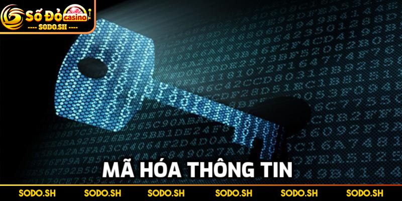Dữ liệu bet thủ được mã hóa theo tiêu chuẩn