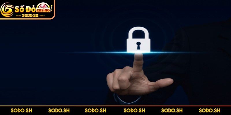 Điều Khoản Dịch Vụ SODO - Đọc Ngay Để Tránh Rủi Ro Chính sách bảo mật bên trong điều khoản dịch vụ