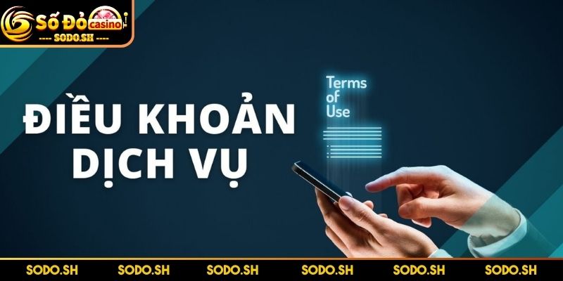 Điều Khoản Dịch Vụ SODO - Đọc Ngay Để Tránh Rủi Ro Quyền được thay đổi quy định bất cứ lúc nào
