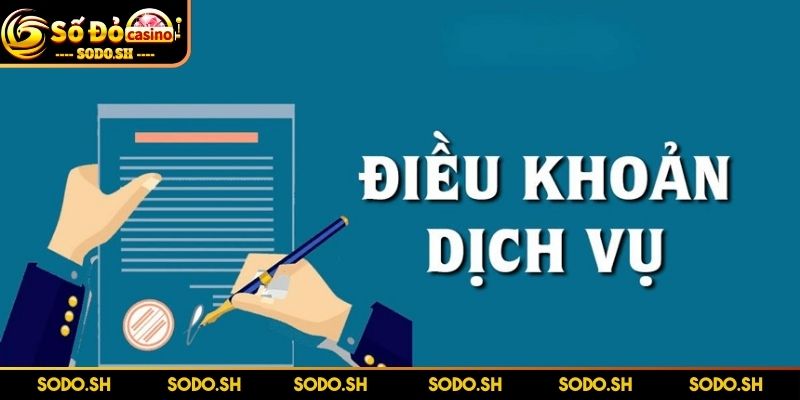 Điều Khoản Dịch Vụ SODO - Đọc Ngay Để Tránh Rủi Ro Vài nét về điều khoản dịch vụ