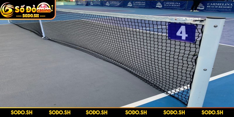 Dụng Cụ Chơi Pickleball Cần Thiết Cho Người Mới Bắt Đầu Lưới tuân thủ kích thước chuẩn theo quy định quốc tế