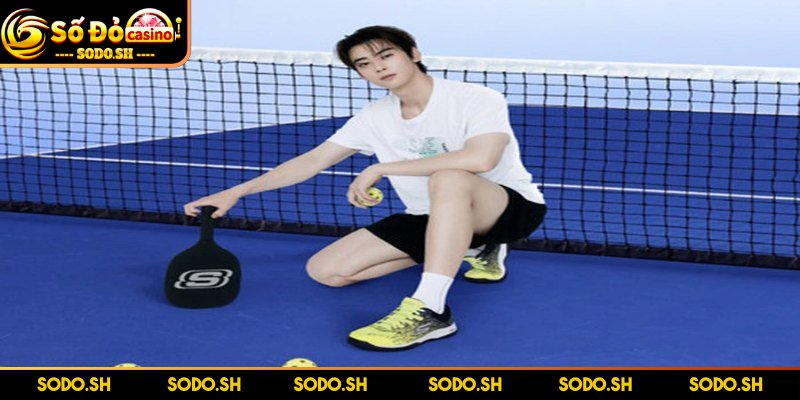 Dụng Cụ Chơi Pickleball Cần Thiết Cho Người Mới Bắt Đầu Thông tin về chủ đề dụng cụ chơi Pickleball