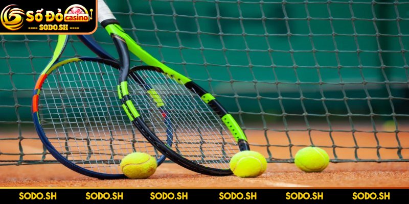 Dụng Cụ Chơi Tennis Cần Thiết Cho Người Mới Tập Luyện Thông tin về dụng cụ chơi tennis