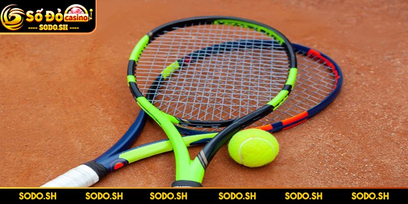 Dụng Cụ Chơi Tennis Cần Thiết Cho Người Mới Tập Luyện Vợt được xem là linh hồn trong bộ dụng cụ tennis
