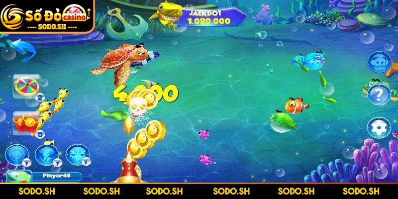 Game Bắn Cá Miễn Phí Không Cần Tải, Chơi Ngay Cùng SODO Cộng đồng chia sẻ kinh nghiệm