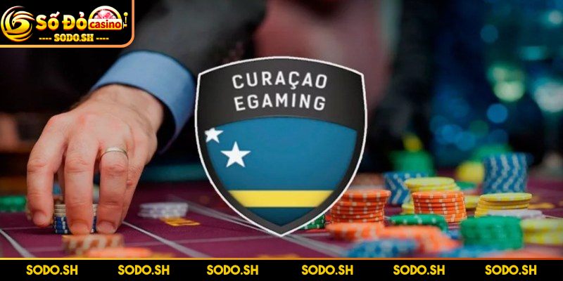Đôi điều về giấy phép và chứng chỉ SODO