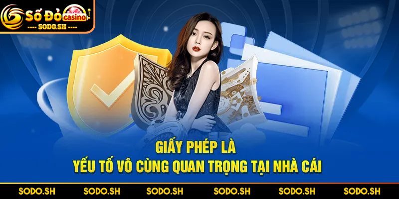 Tầm quan trọng của giấy phép và chứng chỉ SODO