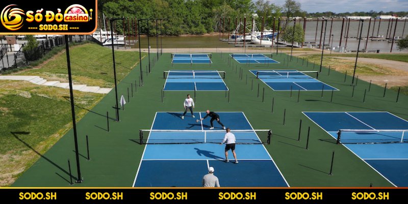 Kích Thước Sân Pickleball Tiêu Chuẩn Để Tập Luyện Thi Đấu Sân Pickleball gần tương đồng với sân cầu lông đôi