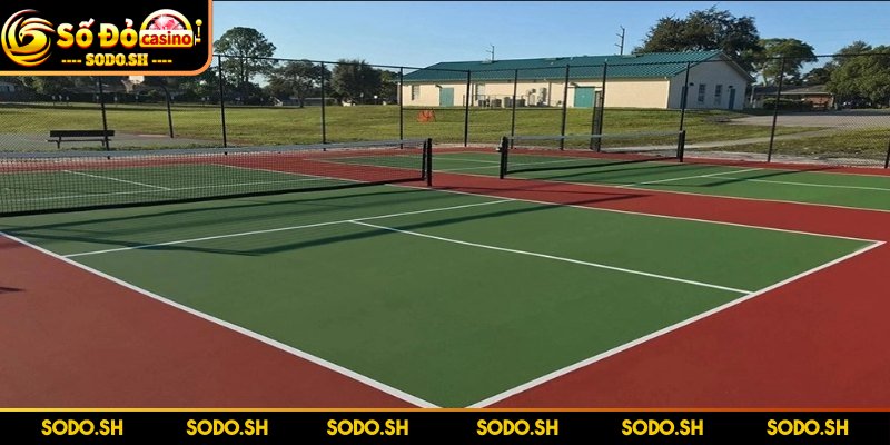 Kích Thước Sân Pickleball Tiêu Chuẩn Để Tập Luyện Thi Đấu Kích thước sân ở mức 6,1m chiều ngang và 13,4m chiều dài