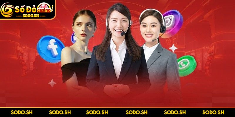 Liên Hệ SODO – Hỗ Trợ Nhanh Chóng, Giải Đáp Tận Tâm Đội ngũ CSKH trực tuyến sẽ luôn sẵn sàng hỗ trợ