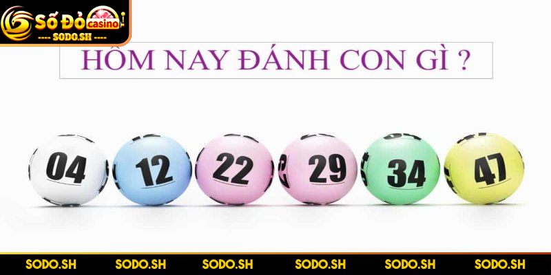 Lô Đề Hôm Nay Đánh Con Gì? Xem Để Tránh Bỏ Lỡ Số Tài Lộc Lô đề hôm nay đánh con gì theo thống kê xác suất?