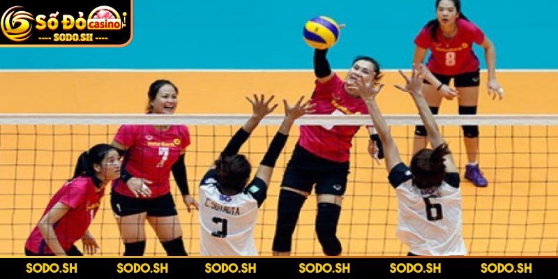 Luật Chơi Bóng Chuyền 4 Người Dễ Hiểu Cho Người Mới Mỗi lượt tấn công chỉ được phép chạm bóng tối đa ba lần