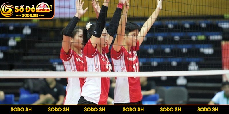 Luật Chơi Bóng Chuyền 6 Người Chi Tiết Cho Người Mới Luật chơi quy định mỗi đội gồm sáu vận động viên