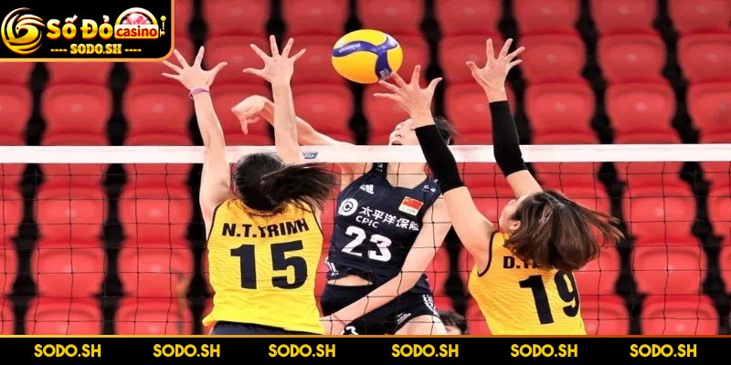Luật Chơi Bóng Chuyền 6 Người Chi Tiết Cho Người Mới Thông tin về luật chơi bóng chuyền 6 người