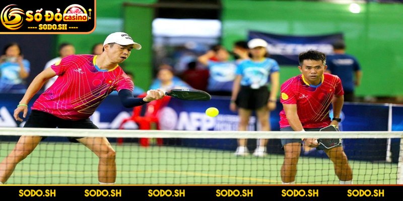 Luật Chơi Pickleball Dễ Hiểu Đơn Giản Cho Người Mới Thông tin về luật chơi Pickleball