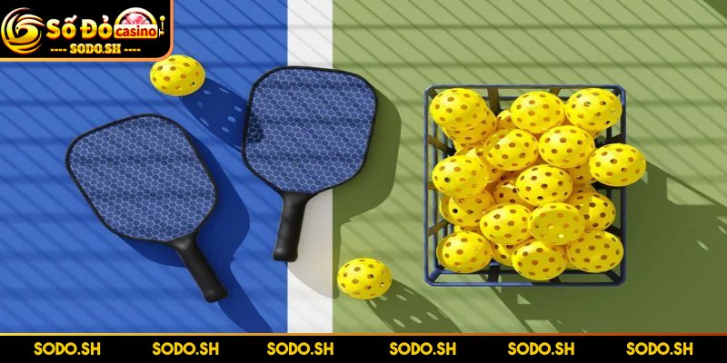 Luật Chơi Pickleball Dễ Hiểu Đơn Giản Cho Người Mới Vùng cấm hay non-volley zone nằm sát lưới, dài 2,13m mỗi bên