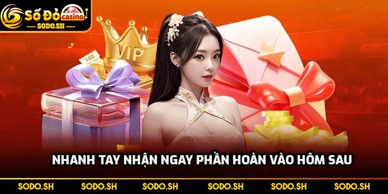 Nhận Tiền Cược Lại Ngay Hôm Sau - Chính Sách Khủng Ở SODO Nhanh tay nhận ngay phần hoàn vào hôm sau